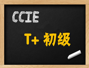 CCIE-T+-13Tplus12.1ռɹ